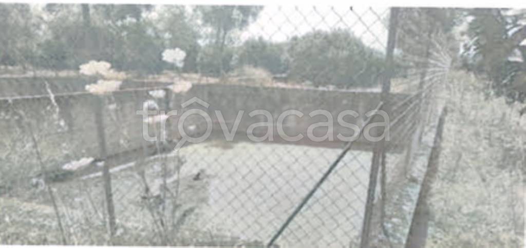 immagine annuncio 5 di 7