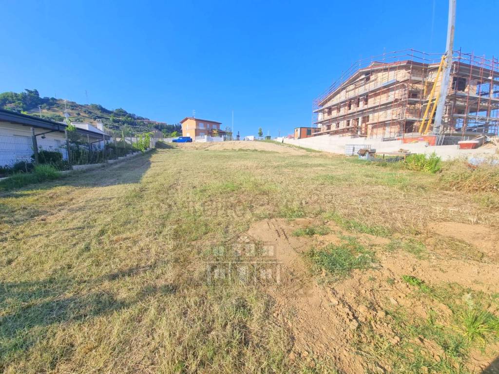 immagine annuncio 3 di 8