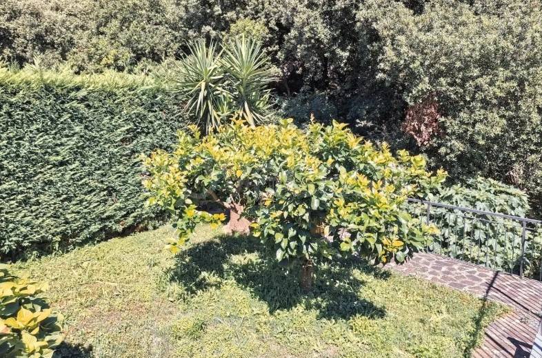 immagine annuncio 11 di 14