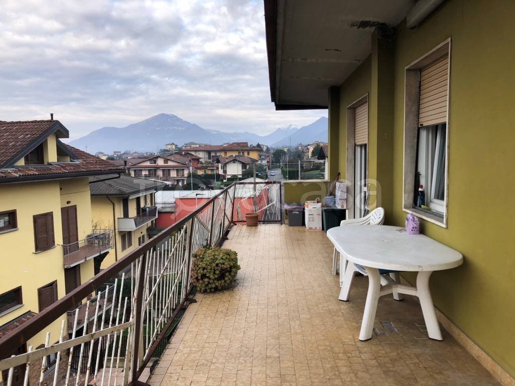 immagine annuncio 10 di 12