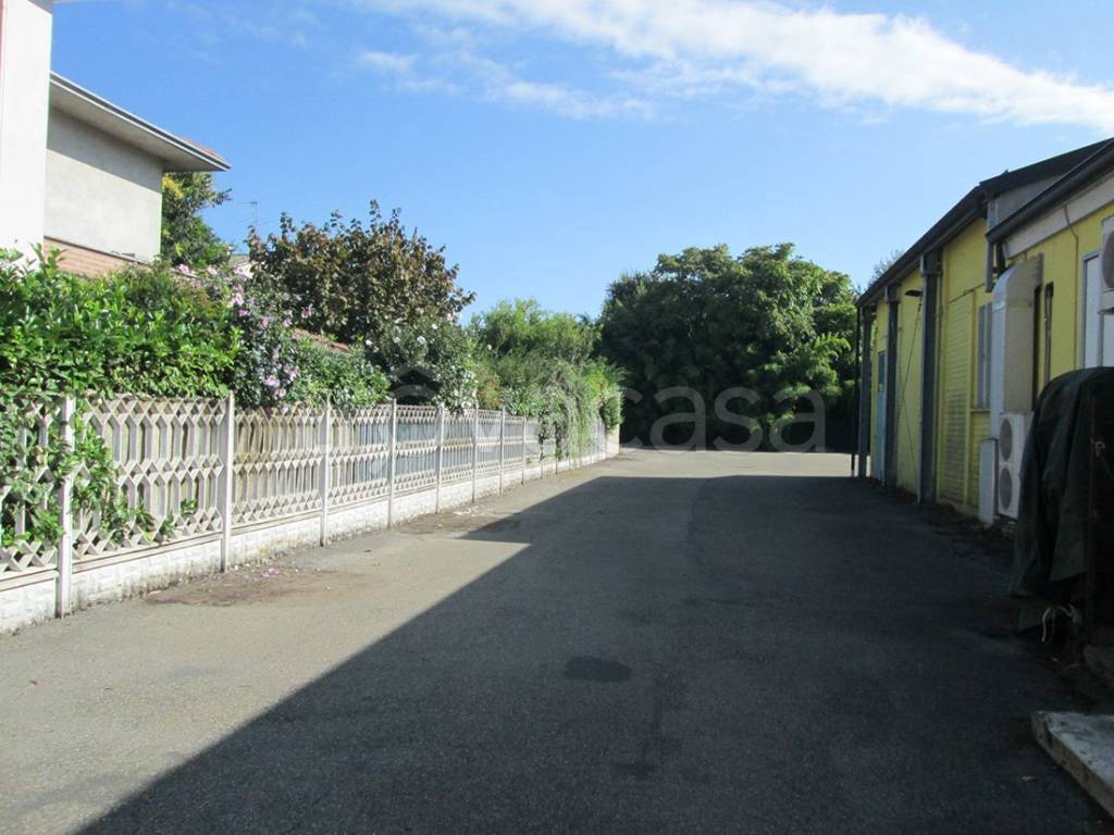 immagine annuncio 3 di 6