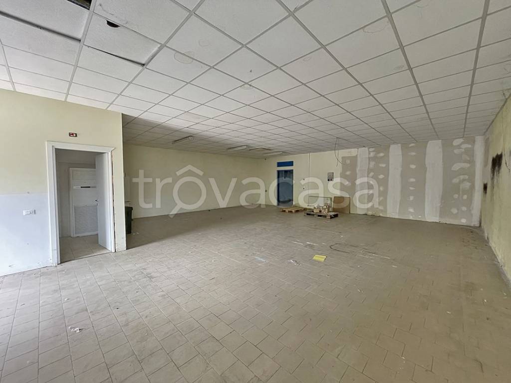 immagine annuncio 4 di 6