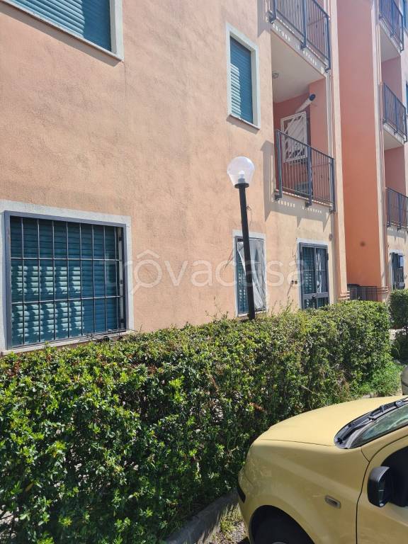 immagine annuncio 5 di 6