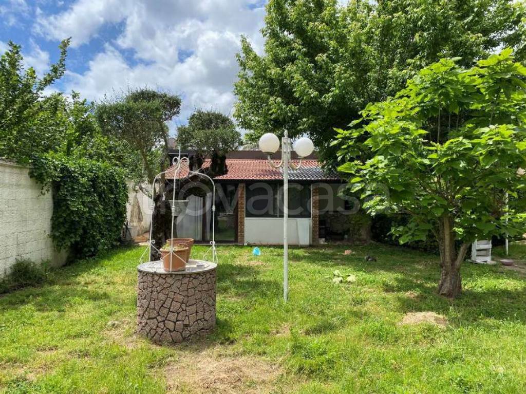 immagine annuncio 6 di 15