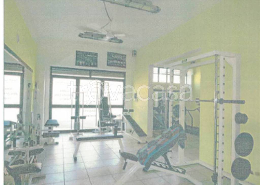 immagine annuncio 4 di 13