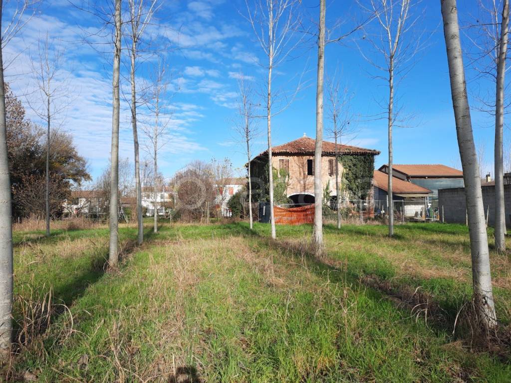 immagine annuncio 4 di 10