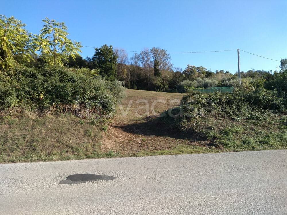 immagine annuncio 1 di 2