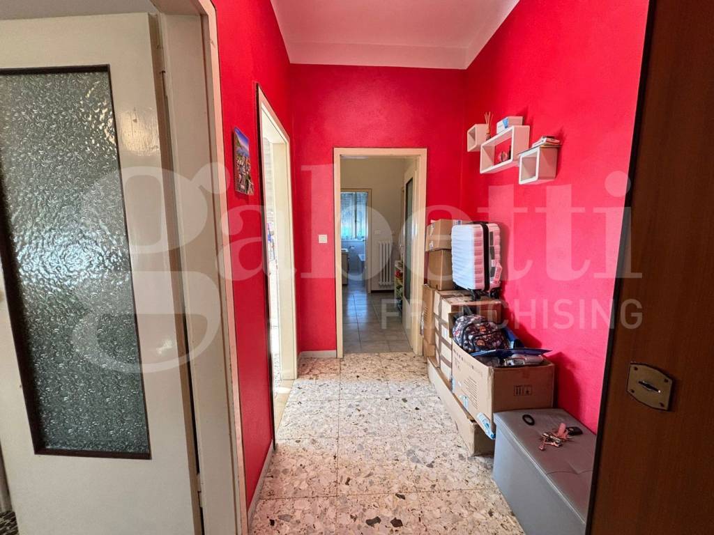 immagine annuncio 6 di 12