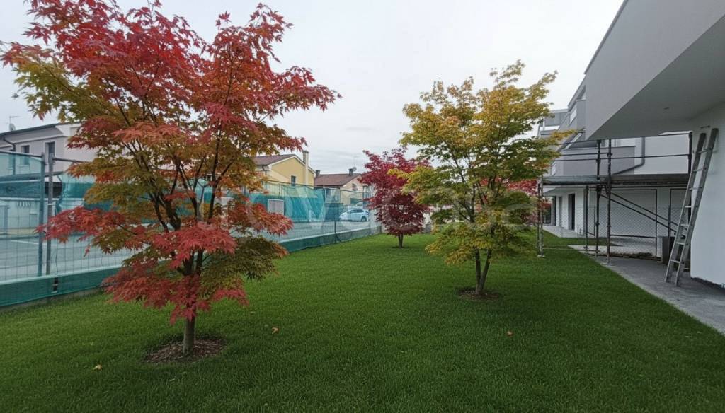 immagine annuncio 7 di 14