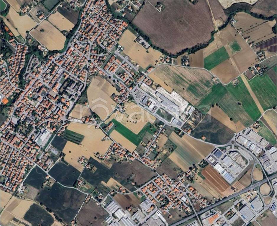 immagine annuncio 5 di 12