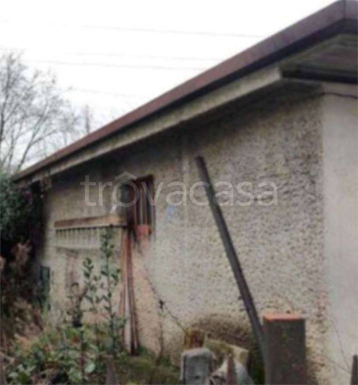 immagine annuncio 2 di 12