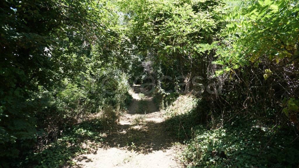 immagine annuncio 2 di 6