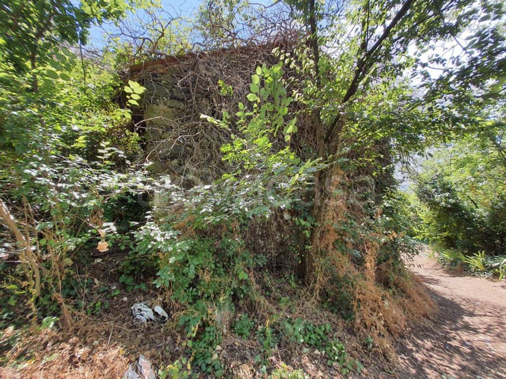 immagine annuncio 3 di 6