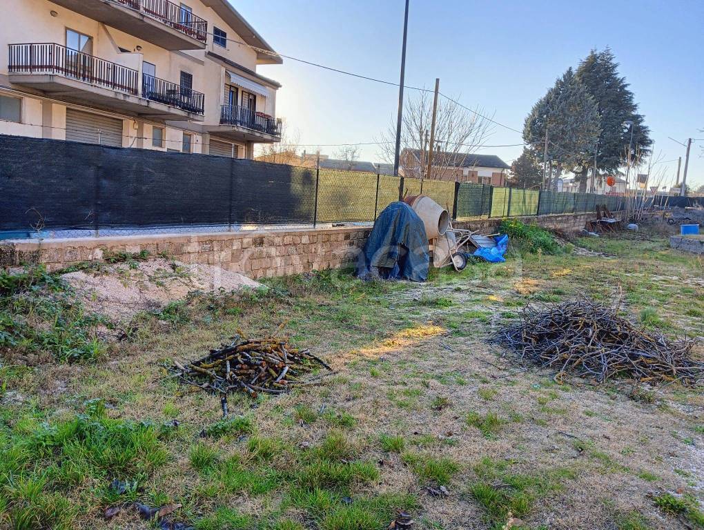 immagine annuncio 2 di 12