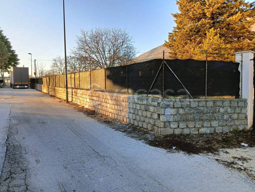 immagine annuncio 4 di 12