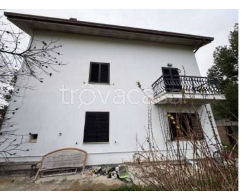 immagine annuncio 4 di 12