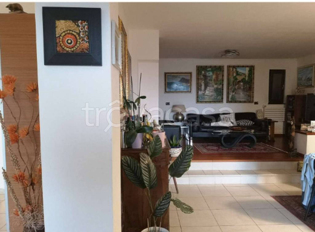 immagine annuncio 7 di 12