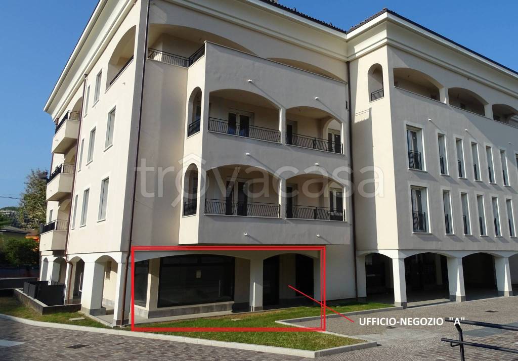 immagine annuncio 1 di 11