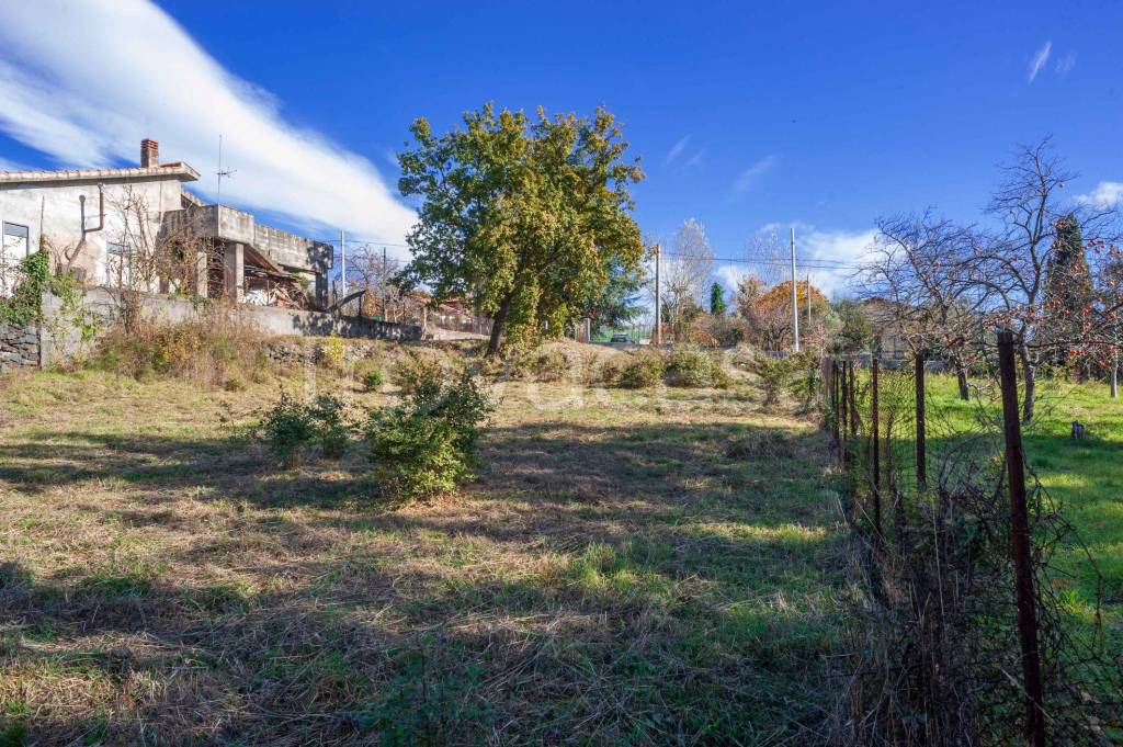 immagine annuncio 3 di 8