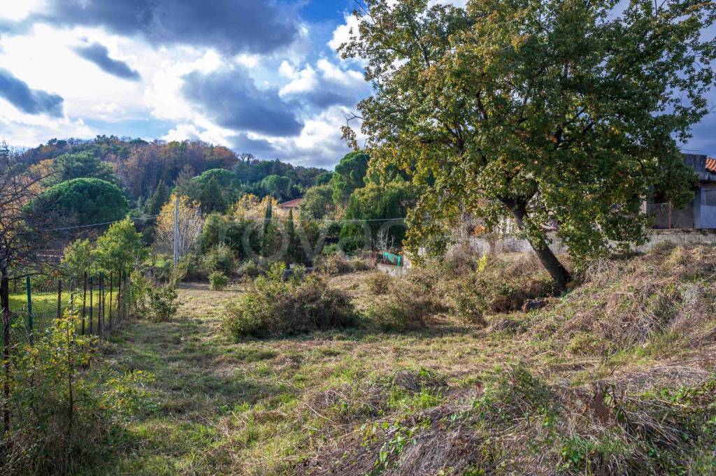 immagine annuncio 6 di 8