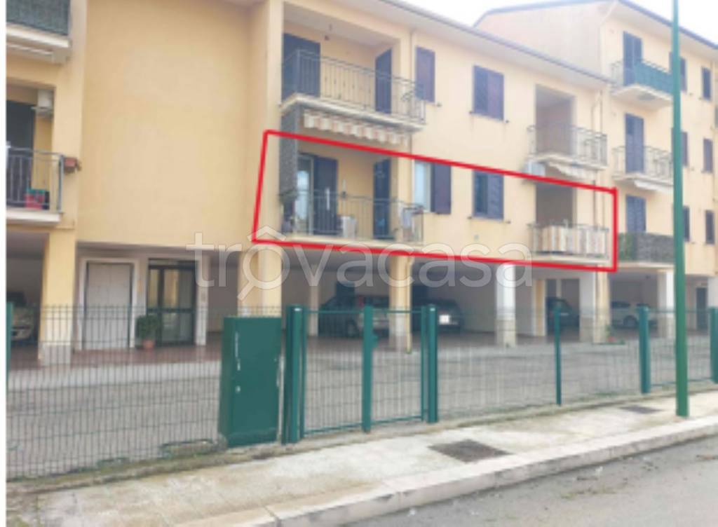 immagine annuncio 1 di 11