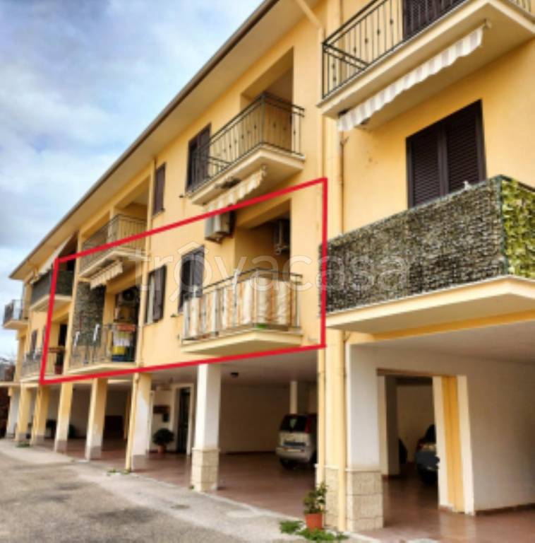 immagine annuncio 2 di 11