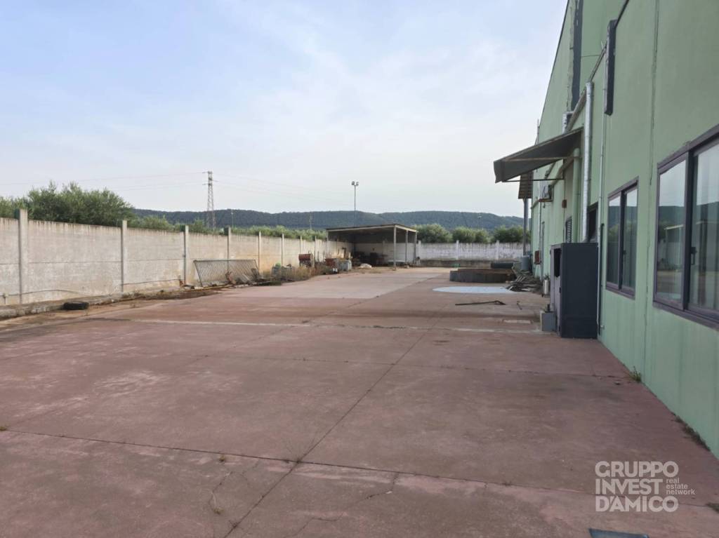 immagine annuncio 1 di 6