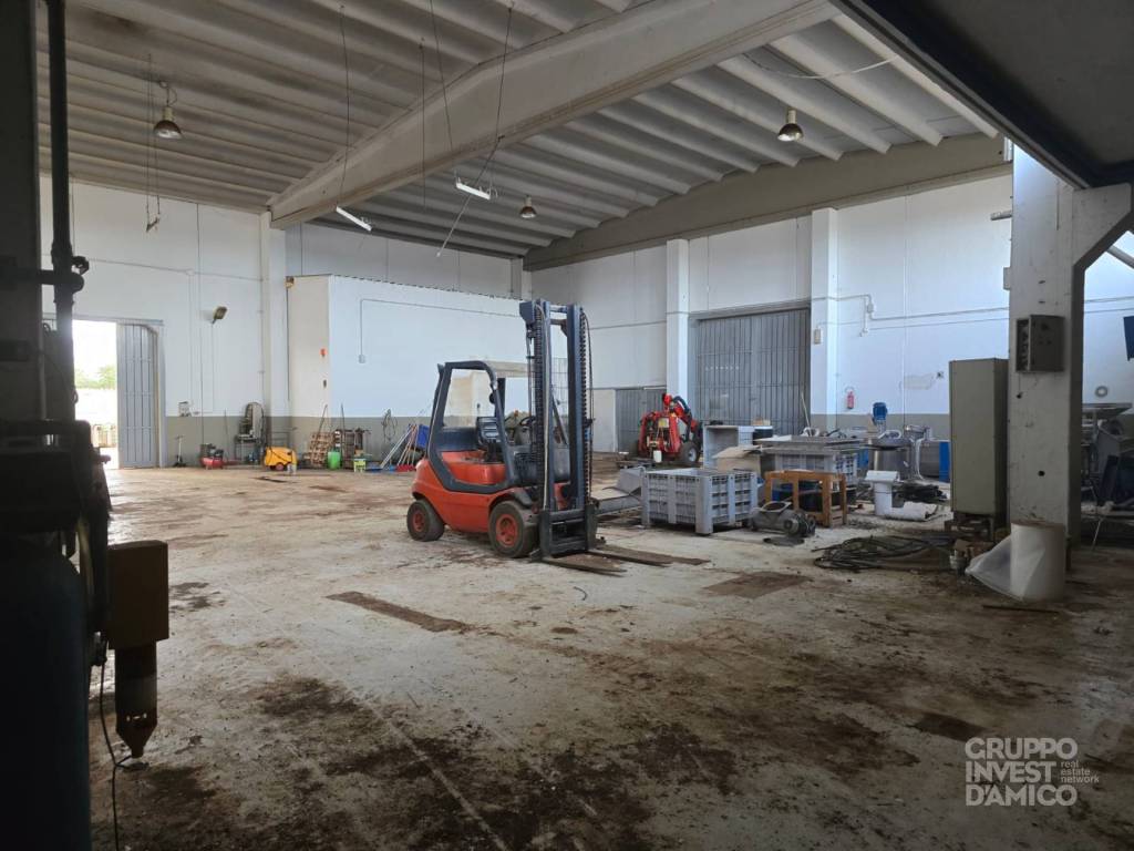 immagine annuncio 3 di 6