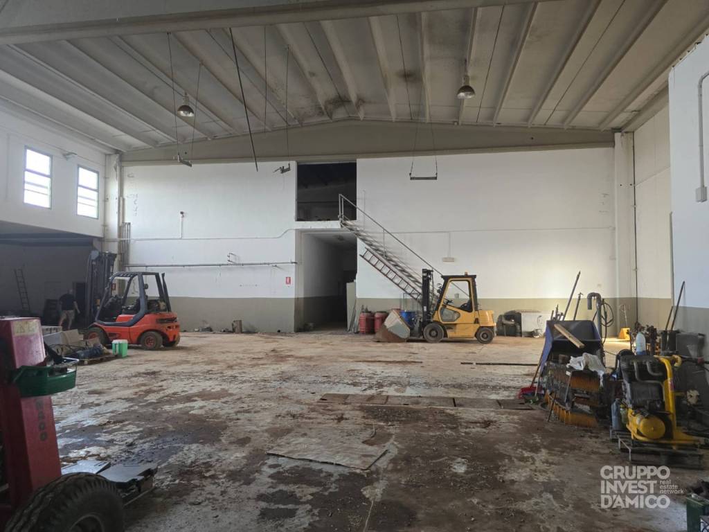 immagine annuncio 4 di 6