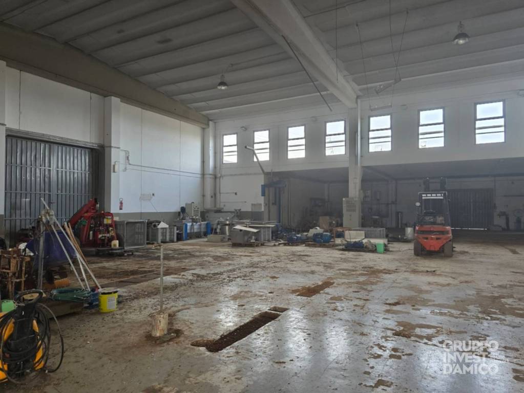 immagine annuncio 5 di 6