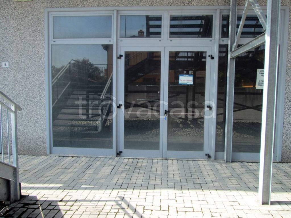 immagine annuncio 2 di 6