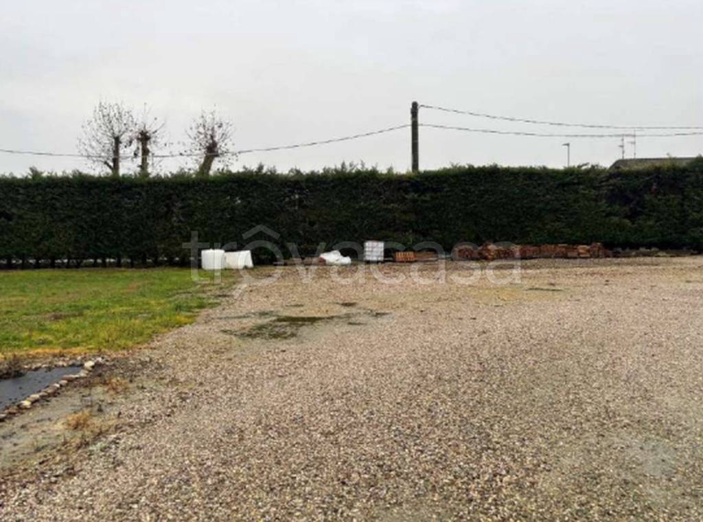 immagine annuncio 6 di 11