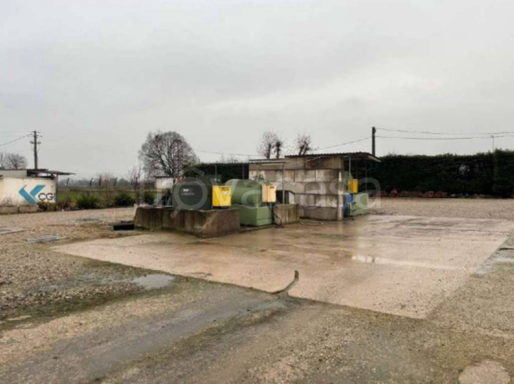 immagine annuncio 8 di 11