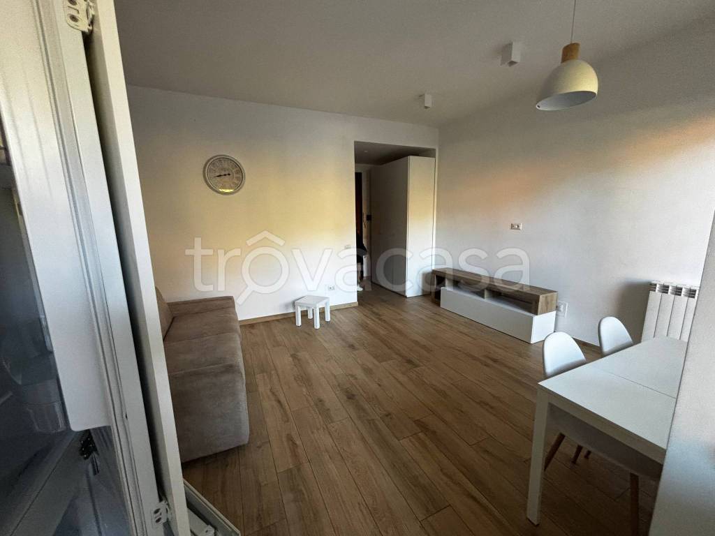 immagine annuncio 3 di 11