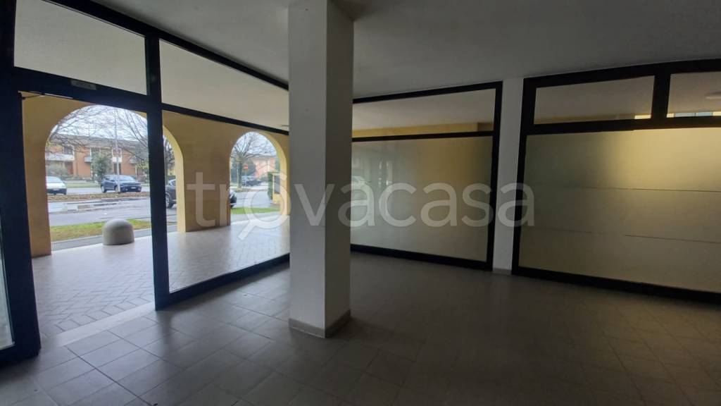 immagine annuncio 4 di 6