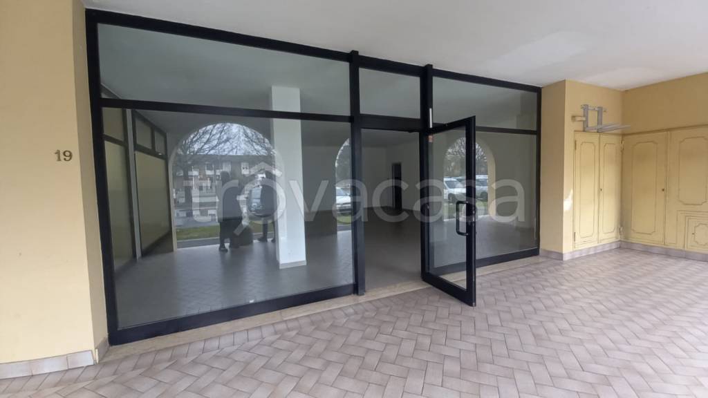 immagine annuncio 5 di 6