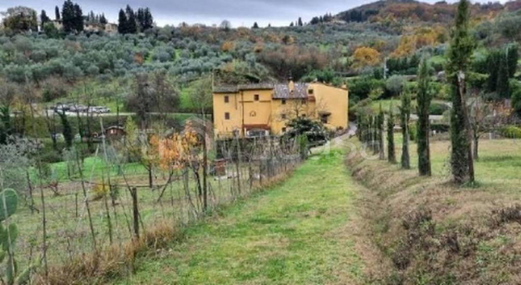 immagine annuncio 3 di 14