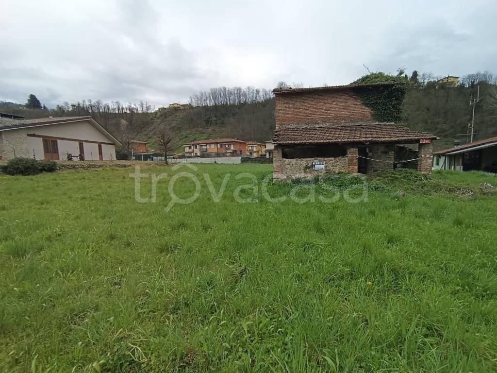 immagine annuncio 2 di 8