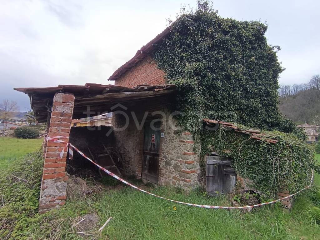 immagine annuncio 3 di 8