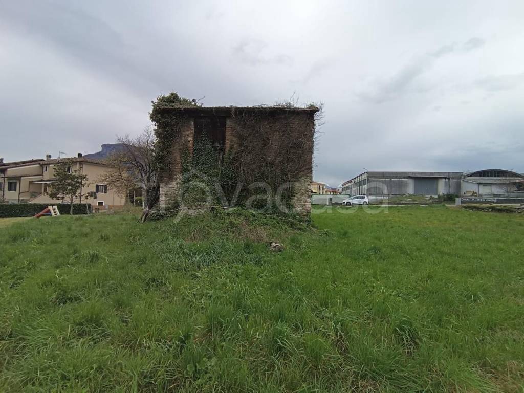 immagine annuncio 4 di 8