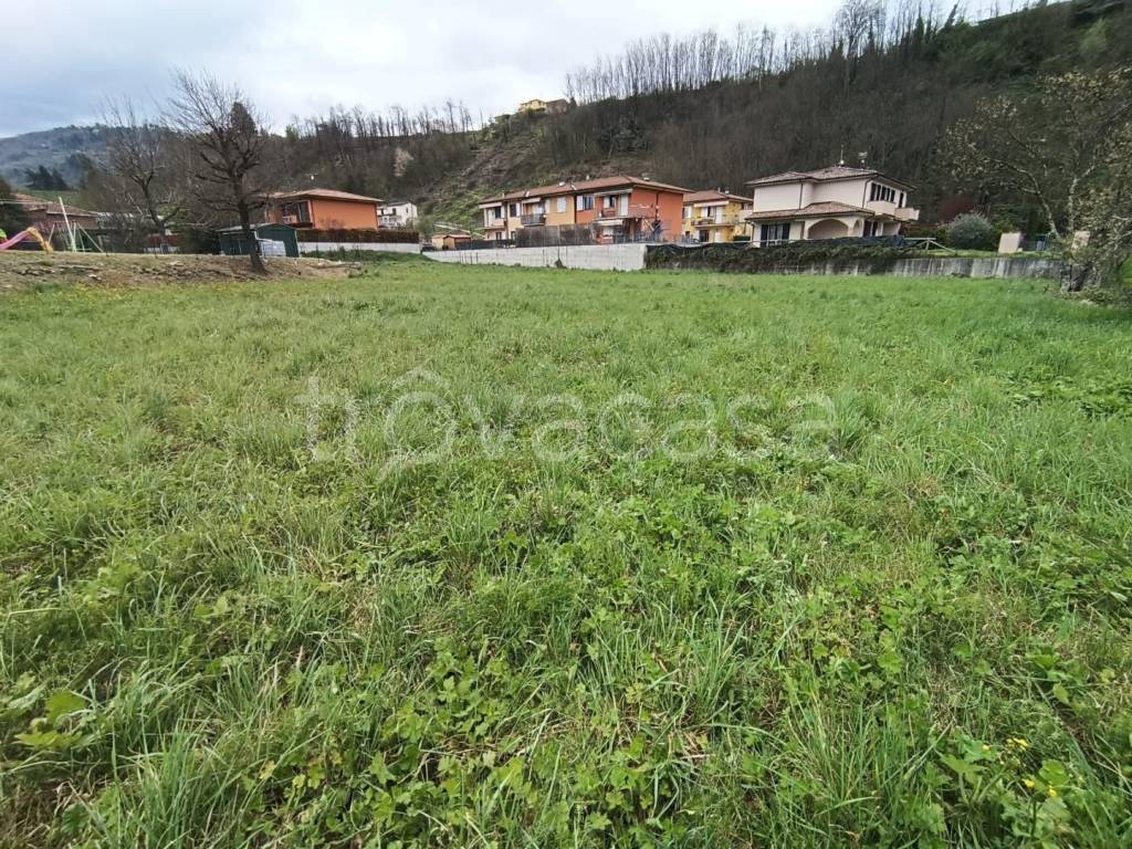 immagine annuncio 5 di 8