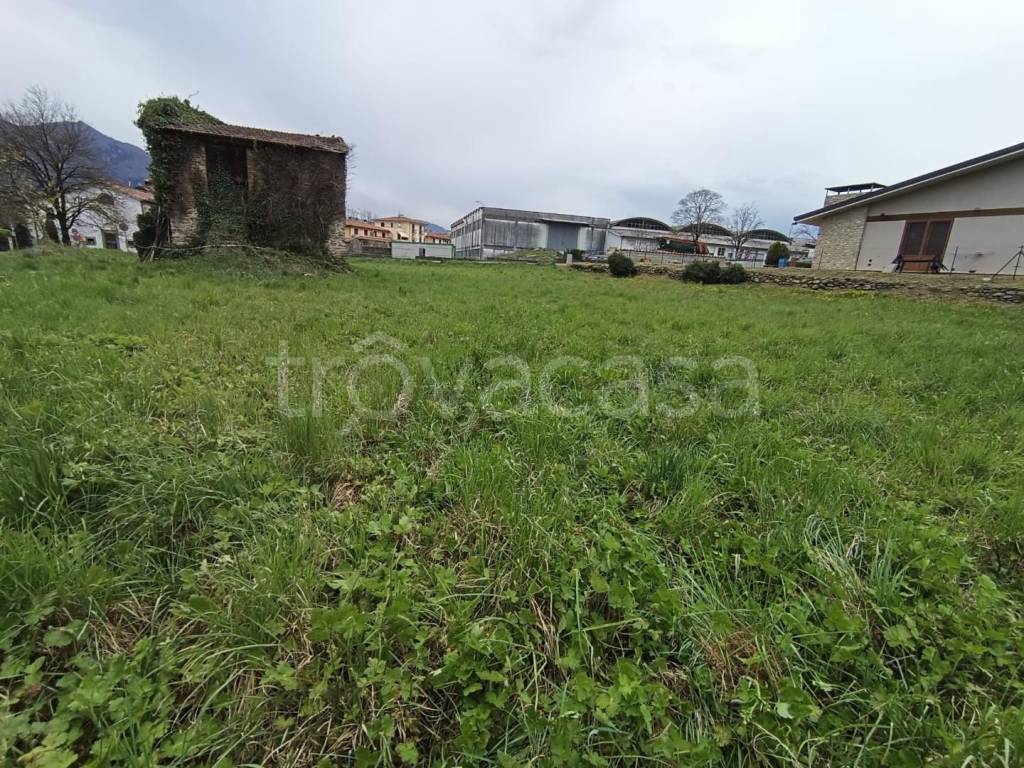 immagine annuncio 6 di 8