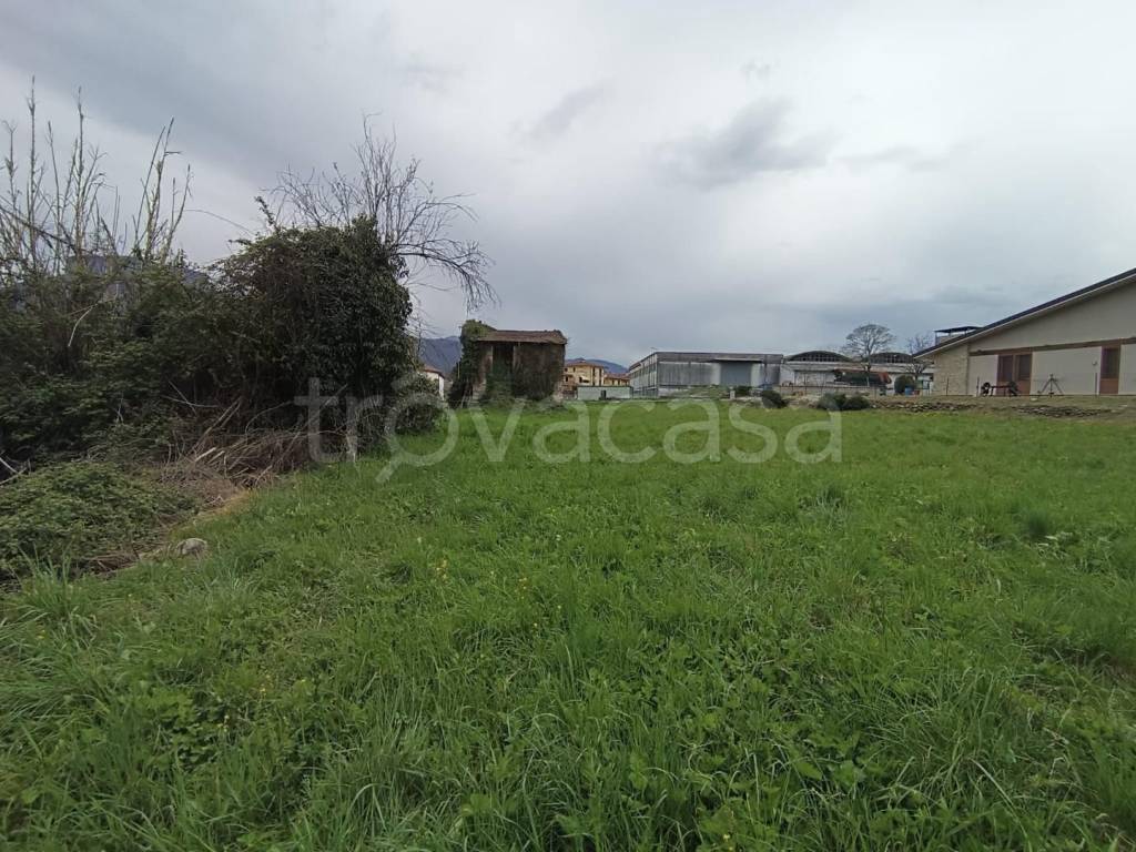 immagine annuncio 7 di 8