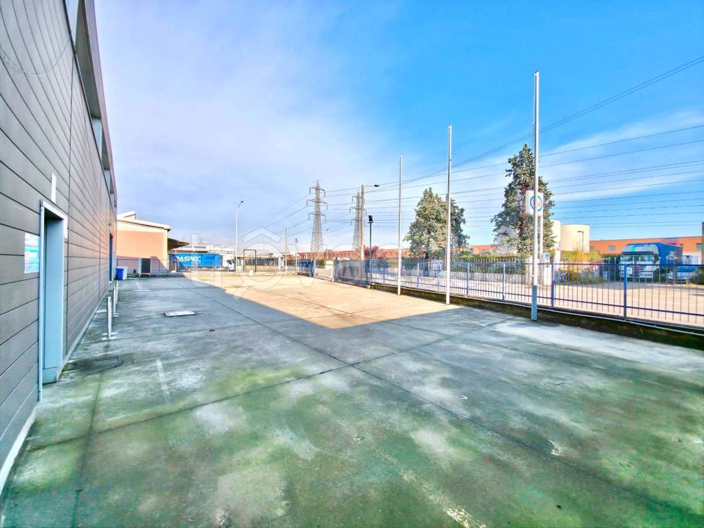 immagine annuncio 6 di 15