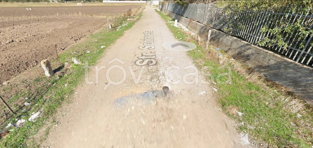 immagine annuncio 8 di 14