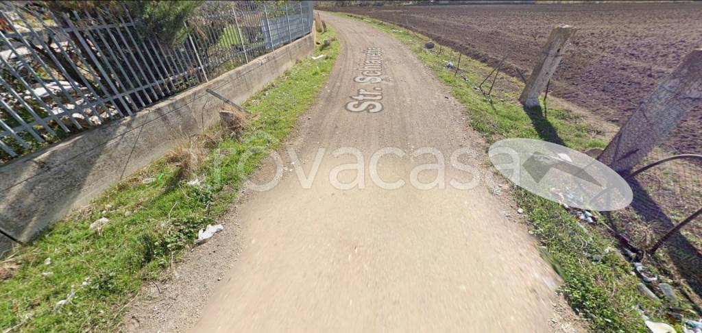 immagine annuncio 10 di 14