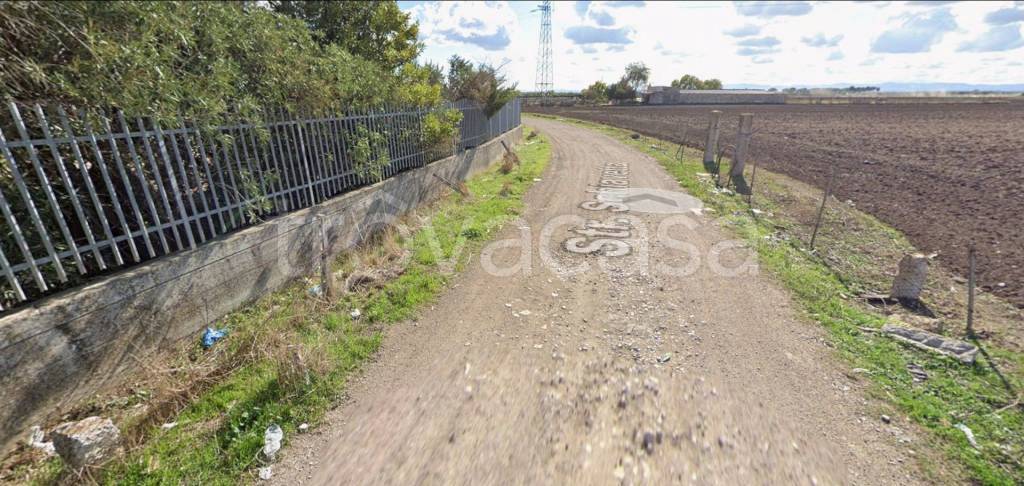 immagine annuncio 12 di 14