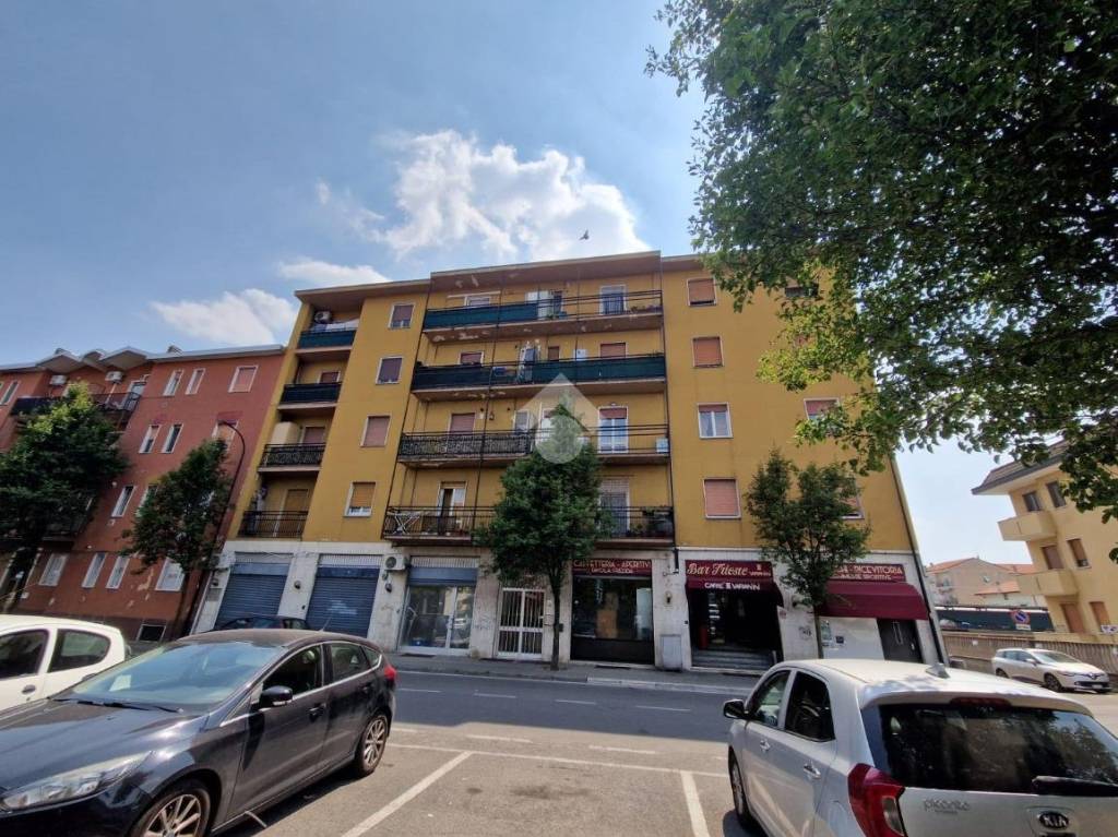 immagine annuncio 12 di 15