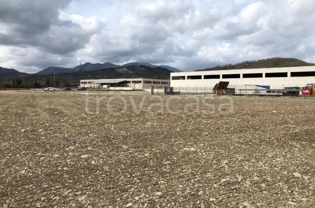 immagine annuncio 9 di 14