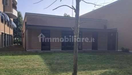 immagine annuncio 4 di 12